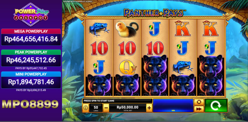 Mpo Slot Panther Pays Gacor Jackpot Dari Playtech